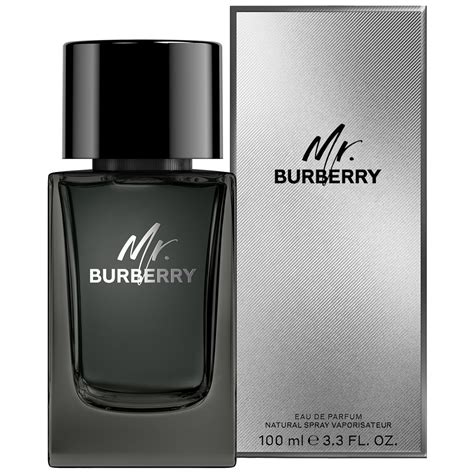 Amazon.com: Burberry Mr Burberry Eau de Parfum – Woody 